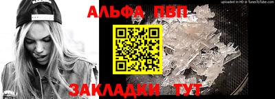 ECSTASY Гай