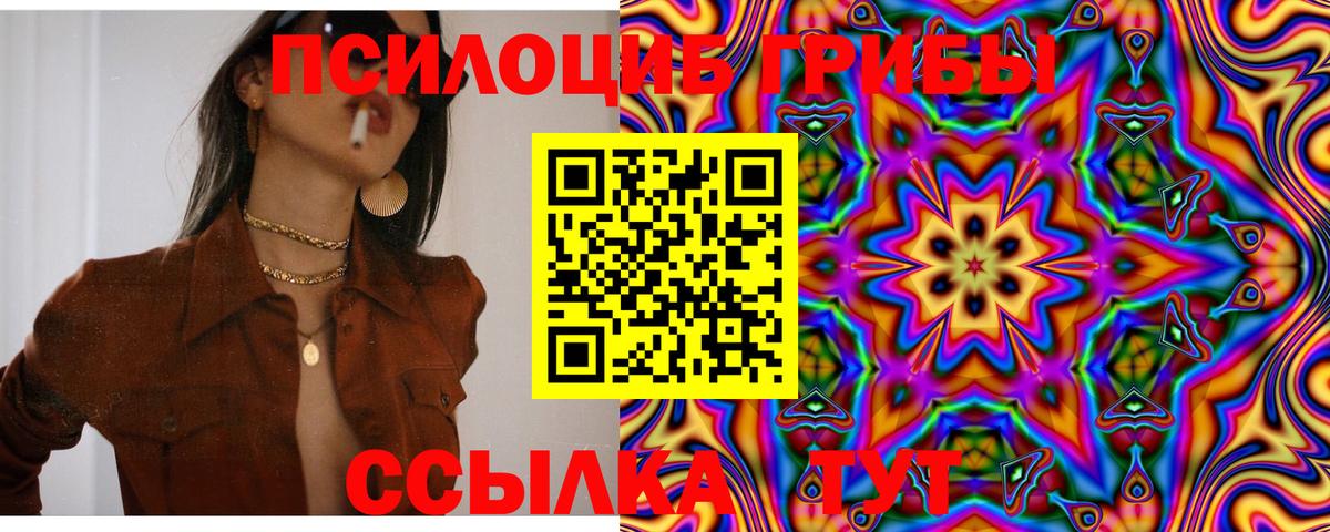 Галлюциногенные грибы Cubensis  Галлюциногенные грибы Cubensis  как найти   Сергиев Посад  Вход с VPN 